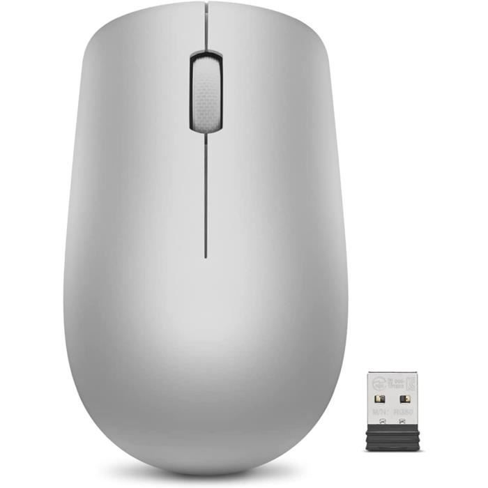 LENOVO - Souris sans-fil USB 530 - 1200 DPI - Ambidextre - Pile AA - 65g - Gris Platinium