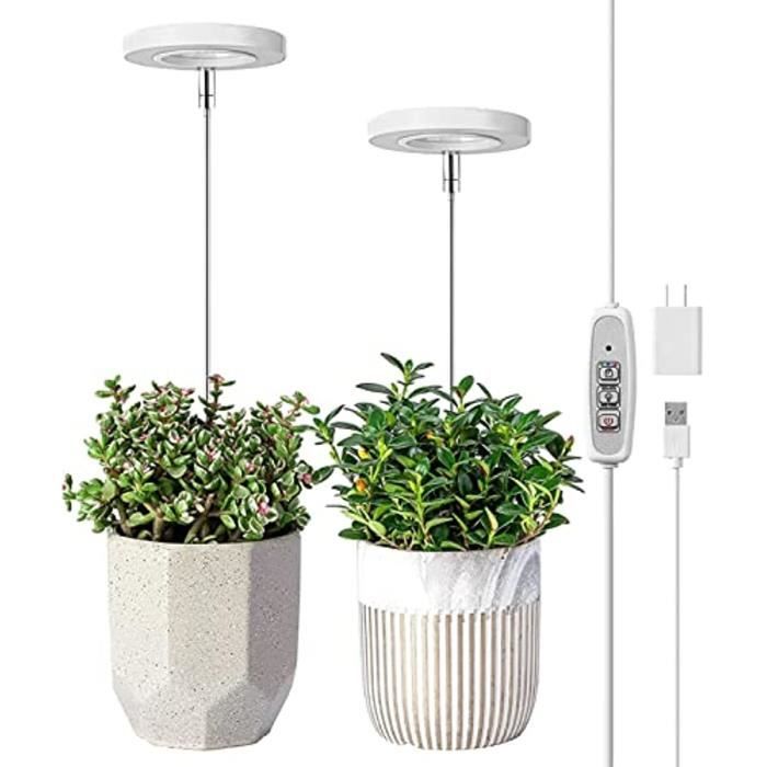Lampe De Plante, Lampe Led Horticole, Lampe De Croissance Avec USB 4  Luminosités À Intensité Variable, Lumière Pour Plantes Lumière - Cdiscount  Jardin