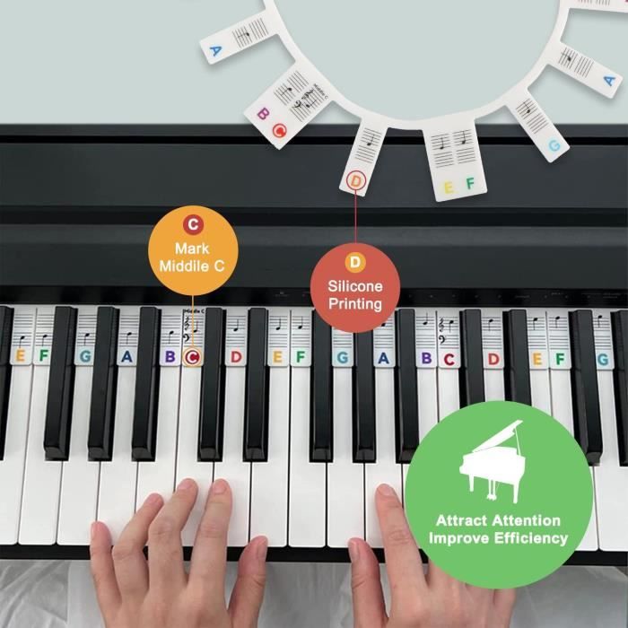 Guide Des Notes de Piano pour Débutant, Étiquettes de Touches de Piano  Amovibles Autocollants