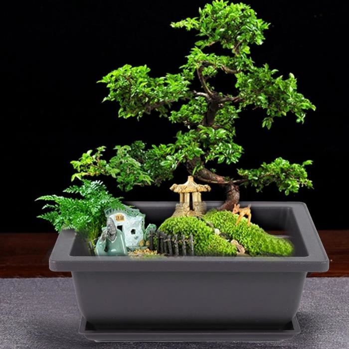 Lot De 6 Plantes Miniatures Bonsaï En Résine Pour Maison De Poupée – Décoration Féerique