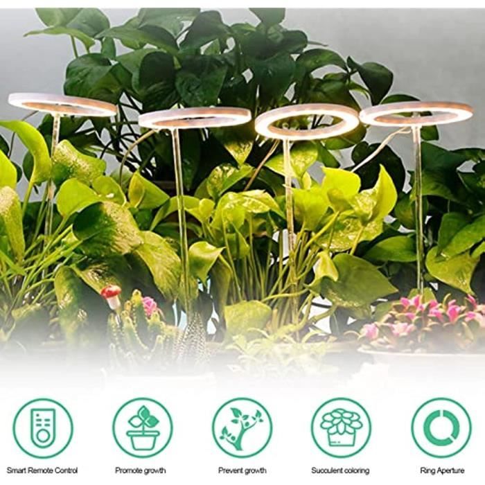 LED Horticole Floraison 500w LED Culture,Lampe Croissance avec UV IR  Lumière pour Les Plantes d'intérieur Veg et Fleur Jardinag A440 - Cdiscount  Jardin