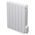 Radiateur inertie fluide
