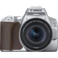 CANON EOS 250D + EF-S 18-55 IS STM - Appareil photo numérique - Marron & Silver-0