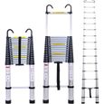 6.2M Échelle Télescopique avec 2 Crochets Amovibles Portable Échelle Pliant en Aluminium Telescopic Ladder-0