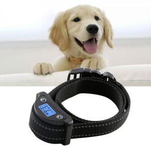 Petsafe Cloture A Fil Special Chat Collier A Pile Deluxe In Ground Cat Fence Cdiscount Animalerie Petsafe Cloture A Fil Special Chat Collier A Pile Deluxe In Ground Cat Fence Cdiscount Animalerie