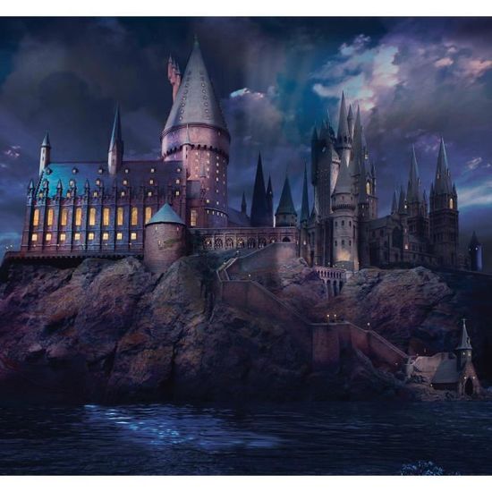 Papier peint panoramique Harry Potter Poudlard fantaisie