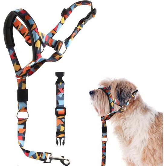 Licol Pour Chien, Licol Chien Anti Traction, Colliers, Harnais Et Laisse Pour Chien Licol, Licol