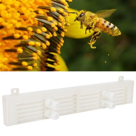 Piège à Pollen, Piège à Pollen En Plastique D'apiculture