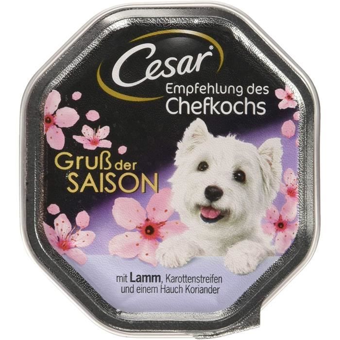 Cesar Nourriture pour Chien de Nourriture, recommandation du Chef dans Coque 692448