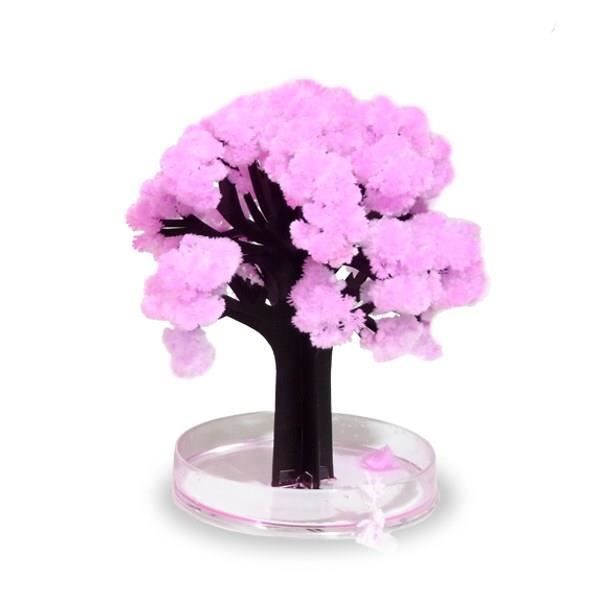THUMBSUP Bonsaî en pot Magic Sakura