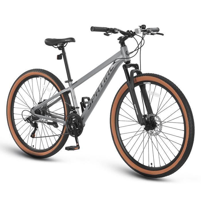 SPATIAL Velo VTT 29 - Shimano 21 Vitesses - Cadre en alliage d'aluminium - Pour Ville et Loisirs - Pour Homme/Femme - Argent - Sport