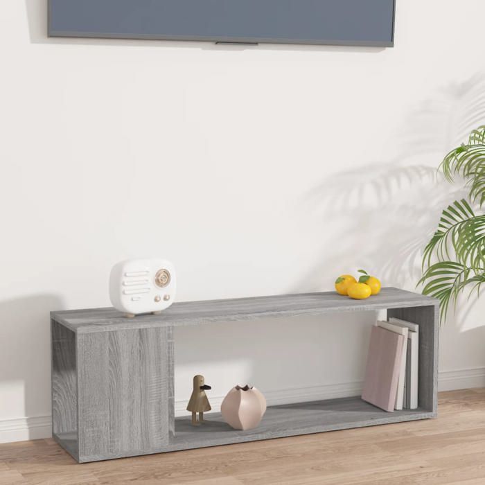 Meuble TV - Sonoma gris - 100x24x32 cm - bois din Meuble TV Sonoma gris 100x24x32 cm - bois dingénierie 28069