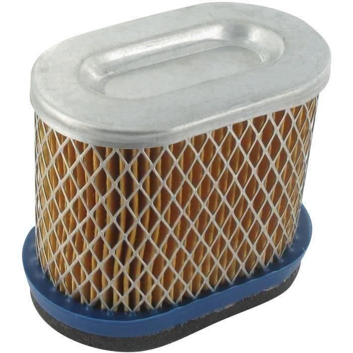 Filtre à air BRIGGS ET STRATTON 004224 - 4224 - 692446 - 692496
