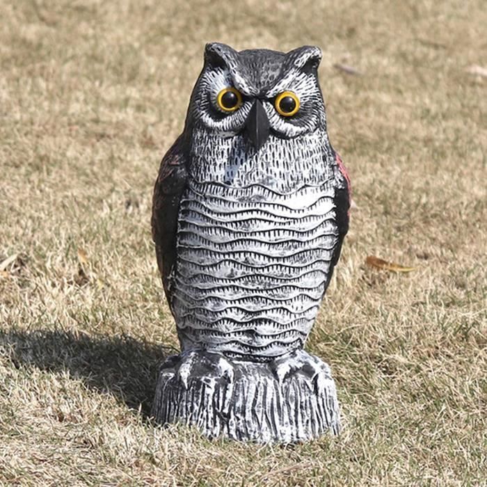 Épouvantail Hibou Rotatif – Pour Effrayer Oiseaux & Pigeons – Résistant Aux Intempéries – Pour Jardin, Potager, Verger - 10