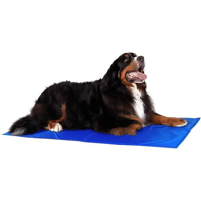 Tapis Rafraîchissant Pour Chien - 70x50 Cm, Noir, Coton + TPU, Absorbant, étanche, Antidérapant - Pour Maison, Panier, Voiture, Facile à Laver
