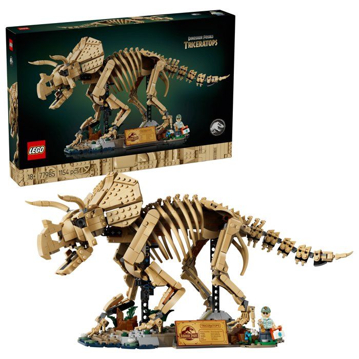 Les fossiles de dinosaure: le tricératops - vue 3