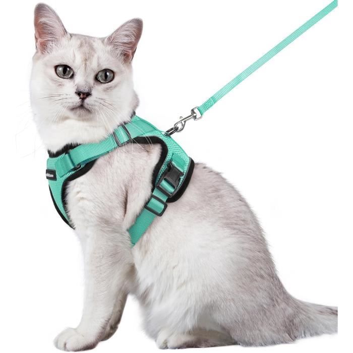Comparer les prix de rabbitgoo Harnais Chat Anti évasion avec Laisse Vert M, Harnais Chaton Petit Chien Réglable, Collier Harnais et Laisses pour Cha313