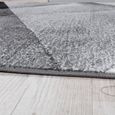 Tapis Design Moderne Motifs Géométriques Poils Ras Gris Noir Blanc Chiné [160x220 cm]-1