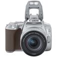 CANON EOS 250D + EF-S 18-55 IS STM - Appareil photo numérique - Marron & Silver-1