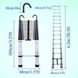 6.2M Échelle Télescopique avec 2 Crochets Amovibles Portable Échelle Pliant en Aluminium Telescopic Ladder-1