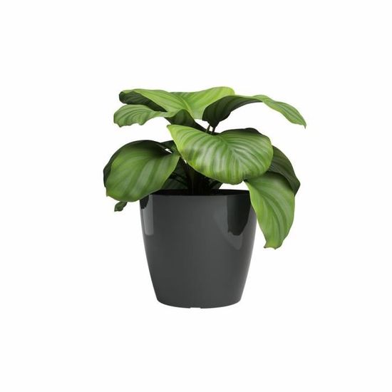 Pot De Fleur Miami Wavy 16cm Anthracite – Design Ondulé, Finition Mate, Résistant Au Gel, Fabriqué Au Portugal