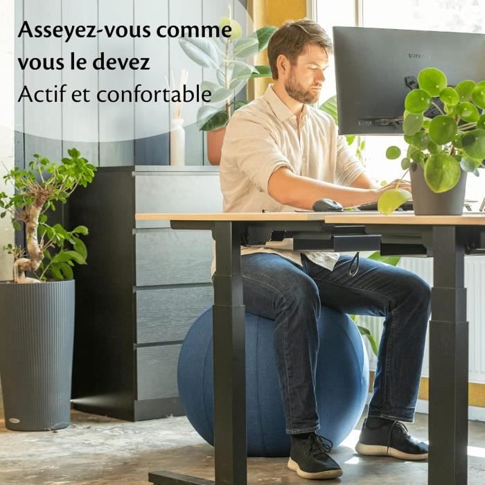 Backerz Ballon-siège ergonomique 55/65/75 cm – housse lin lavable ...