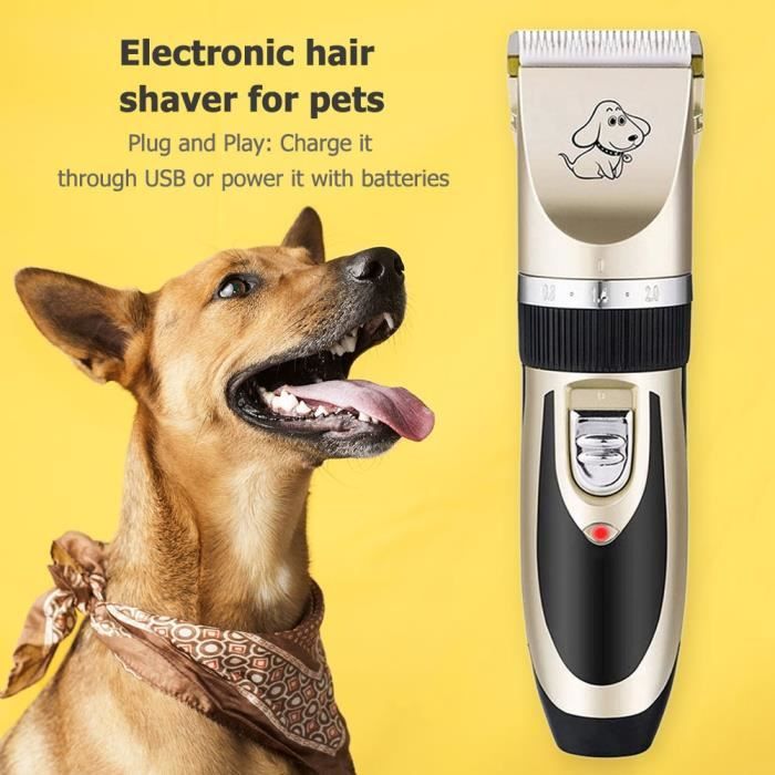 Tondeuse à cheveux électrique professionnelle pour animaux de