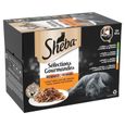 SHEBA Barquettes en sauce 4 variétés pour chat 85g (12x4)-3