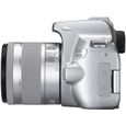 CANON EOS 250D + EF-S 18-55 IS STM - Appareil photo numérique - Marron & Silver-6