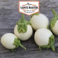 Aubergine Blanche ronde à œufs 50 graines - La ferme Sainte Marthe 0,000000-0