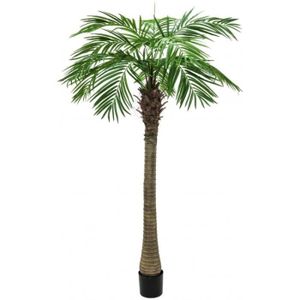 FLEUR ARTIFICIELLE EUROPALMS Phoenix palmier luxor, plante artificielle, 210cm 0,000000