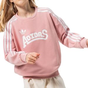 Vêtements longs enfants adolescent manches pull sweats courts hauts teints  sweats à capuche filles lettre cravate filles hauts Sous Pull Fille Montant  encapuchonné sweats hauts (Blue-3, 8-9 Years) : : Mode