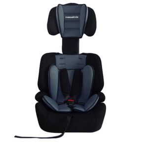 petit rehausseur auto