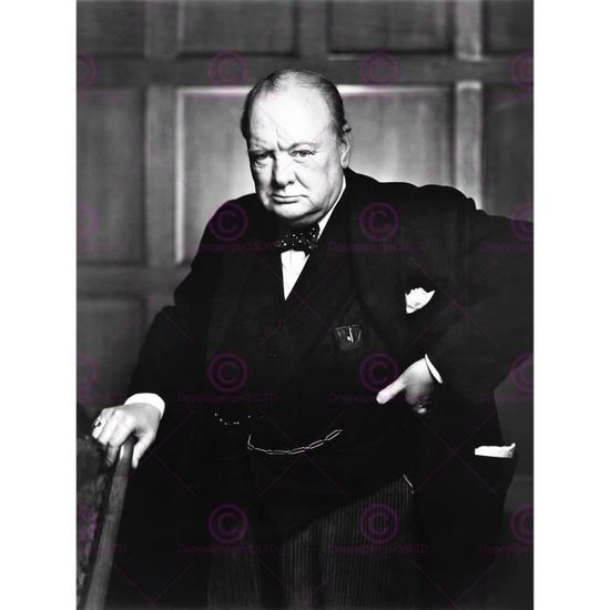 Sir Winston Churchill Portrait Angleterre 1900 8x12 Halogénure d'argent imprimé photo 