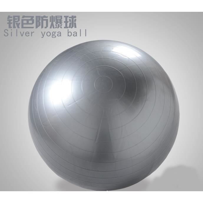 Balle de Yoga Exercice Fitness Balance Gymnastique Force Pilates Ball Révéler Gonfleur Gris 65 cm / 25,6 -