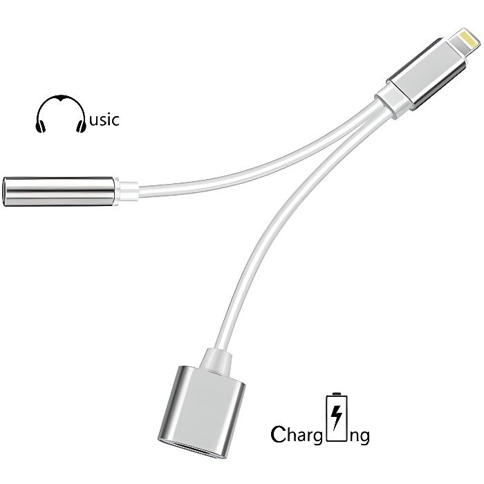 Cable Double Adaptateur port Lightning avec prise Jack 3.5 mm pour iPhone 11 6.1- Couleur Argent - Marque Yuan Yuan