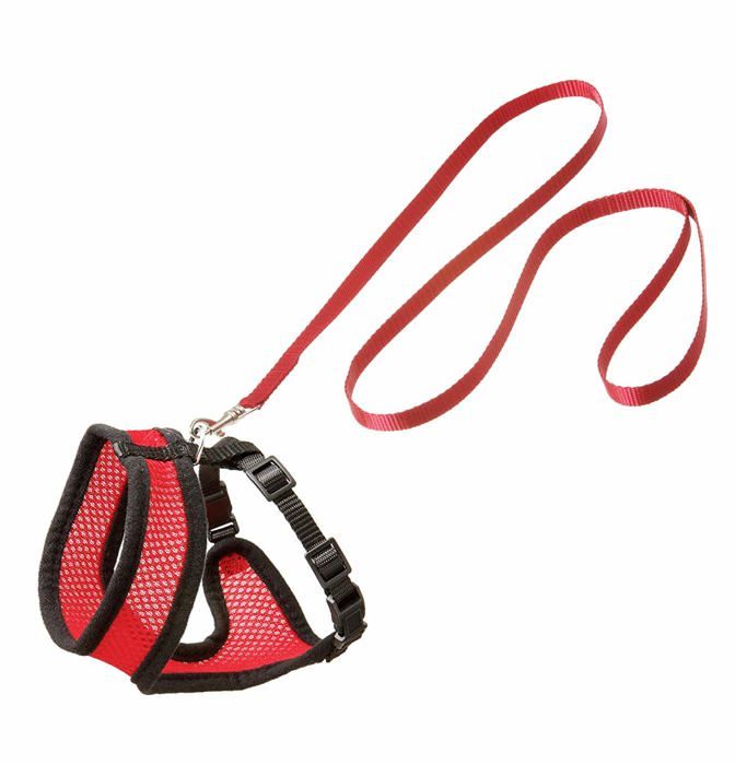 Flamingo Set Harnais + Laisse pour Chat 110 cm x 10 mm Rouge/Noir - Nylon léger réglable Flamingo Set Harnais + Laisse pour Chat 110 cm x 10 mm Rouge/Noir - Nylon léger réglable