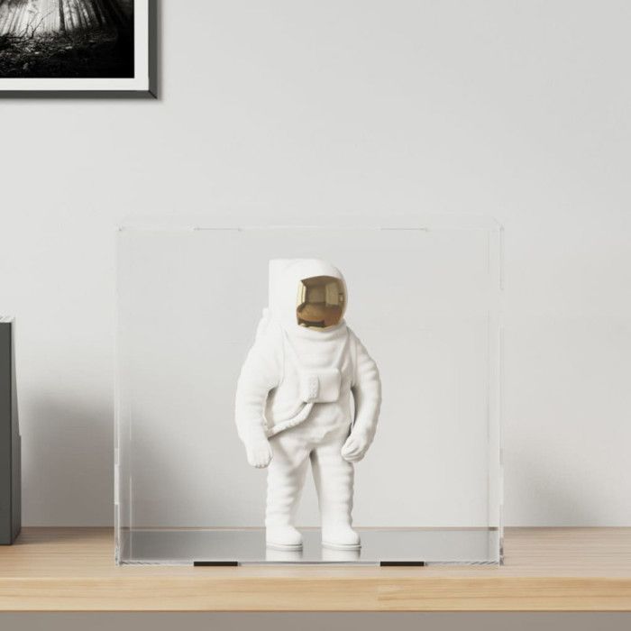 Vitrine en acrylique, compatible avec LE*GO 21061 Notre-Dame de Paris - Boîte de présentation transparente, anti-poussière et étui de rangement à collectionner (modèle non inclus) (noir, 3 mm