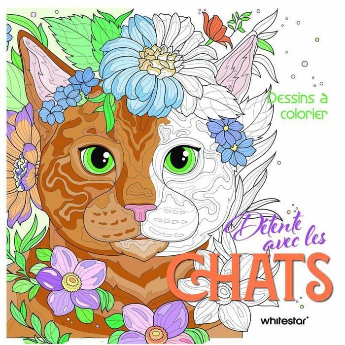 Buy Mystère Livre De Coloriage Couleur Par Numéro Pour Adulte: Mystère