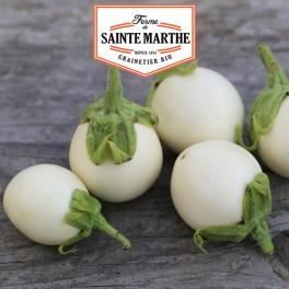 Aubergine Blanche ronde à œufs 50 graines - La ferme Sainte Marthe 0,000000