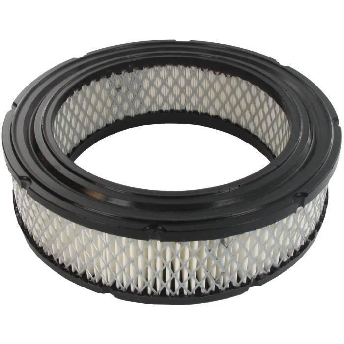 Filtre à air BRIGGS et STRATTON 692519 - 806232