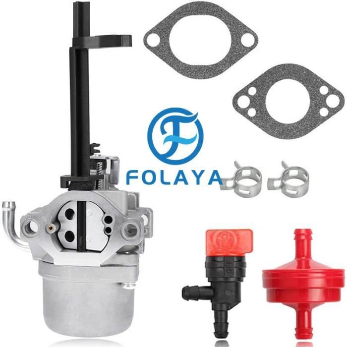 FOLAYA 591378 697978 carburateur pour Briggs