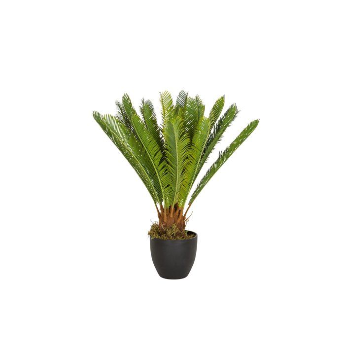 Plante Artificielle Olive 70 Cm - Imitation Réaliste En Plastique Et Soie, Vert Persistant, Facile D'entretien - 10