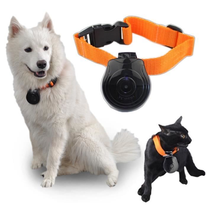Mini Pet Caméra Cat Dog LCD Video Camera Recorder Pet Products Collar  Accessoires - Cdiscount Appareil Photo