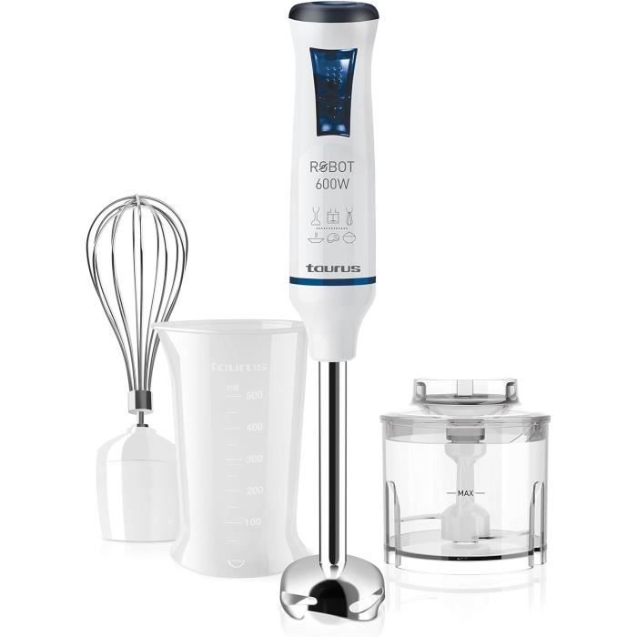 Mixeur plongeant, Speed Inox 600