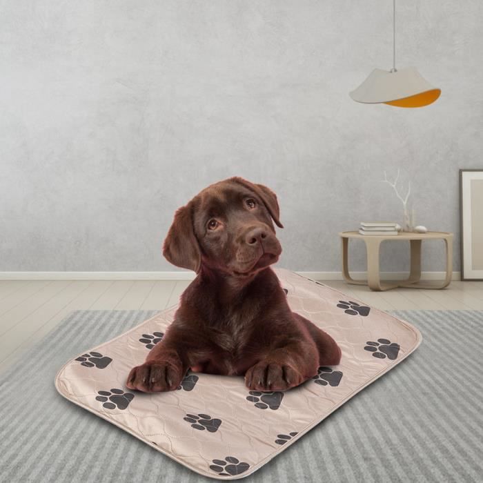 Bac et tapis absorbeur d'urine chien et chiot - Tapis à pipi