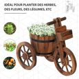 Outsunny Porte Plante Tricycle - étagère de Pots de Fleurs - jardinière dim. 52L x 31l x 45H cm - Bois de Sapin-3
