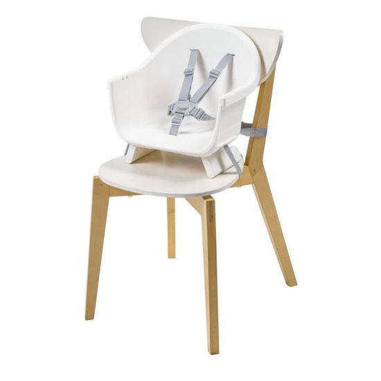 Maxi-Cosi Moa : Chaise Haute 4-en-1 évolutive De 6 Mois à 7 Ans (0-25kg) - Transformable En Rehausseur, Tabouret Et Bureau | Beyond Graphite