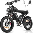 Vélo Électrique Ridstar Q20 - Roues 20" - Moteur 1000W - Batterie Amovible 48V 20Ah - 7 Vitesse SHIMANO - Noir-0
