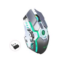 ZERODATE T30 Souris de Jeu sans Fil 2,4 G Rechargeables avec Récepteur USB et Couleurs RGB Rétroéclairées
